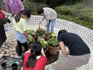 IMG 4808